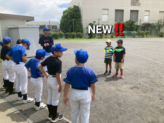 5月の活動報告